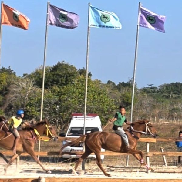 Ratu SOKSI Semifinal 1 768x650