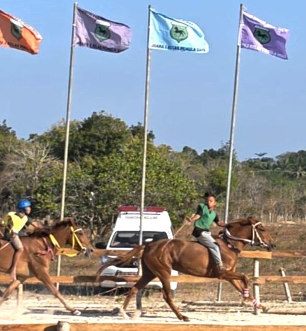 Ratu SOKSI Semifinal 1 768x650 1 600x650
