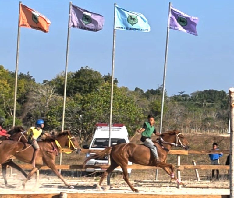 Ratu SOKSI Semifinal 1 768x650 1